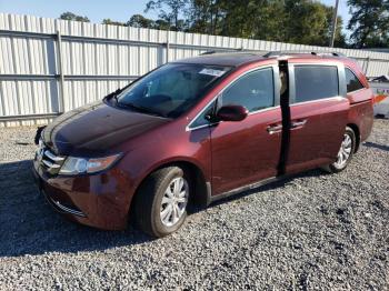  Salvage Honda Odyssey