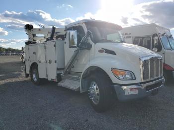  Salvage Peterbilt 536