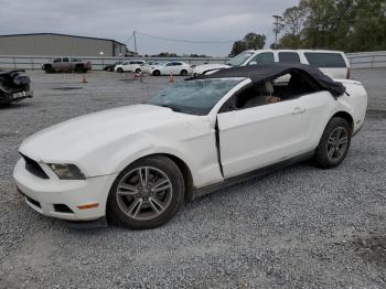  Salvage Ford Mustang