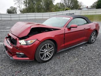  Salvage Ford Mustang