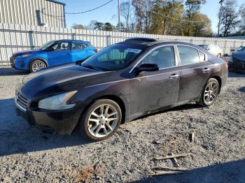  Salvage Nissan Maxima