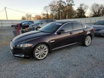  Salvage Jaguar XF