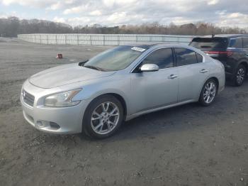  Salvage Nissan Maxima