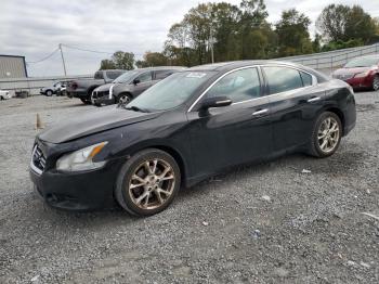  Salvage Nissan Maxima