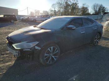  Salvage Nissan Maxima