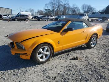  Salvage Ford Mustang