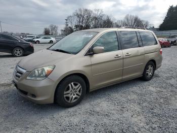  Salvage Honda Odyssey