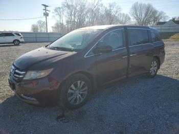  Salvage Honda Odyssey