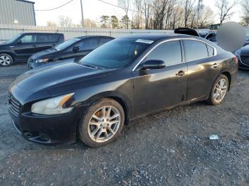  Salvage Nissan Maxima