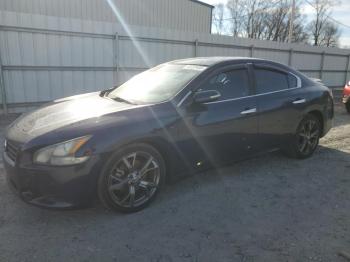  Salvage Nissan Maxima