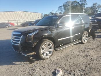  Salvage Cadillac Escalade