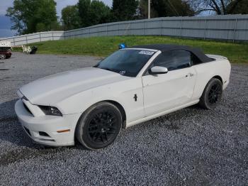  Salvage Ford Mustang