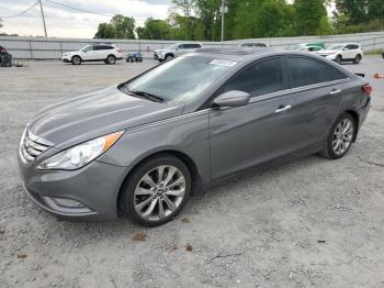  Salvage Hyundai SONATA