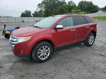  Salvage Ford Edge