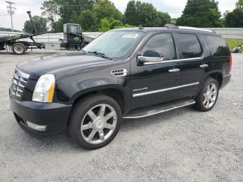  Salvage Cadillac Escalade