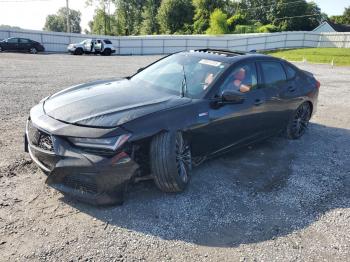  Salvage Acura TLX