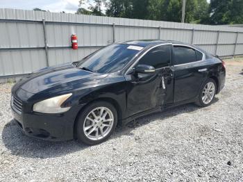  Salvage Nissan Maxima