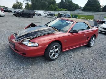  Salvage Ford Mustang