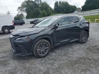  Salvage Lexus NX