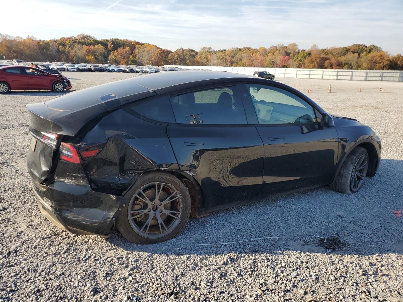 Tesla Model Y Image 5