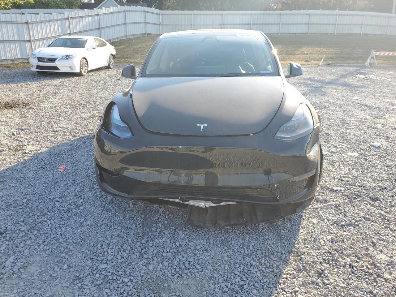 Tesla Model Y Image 7