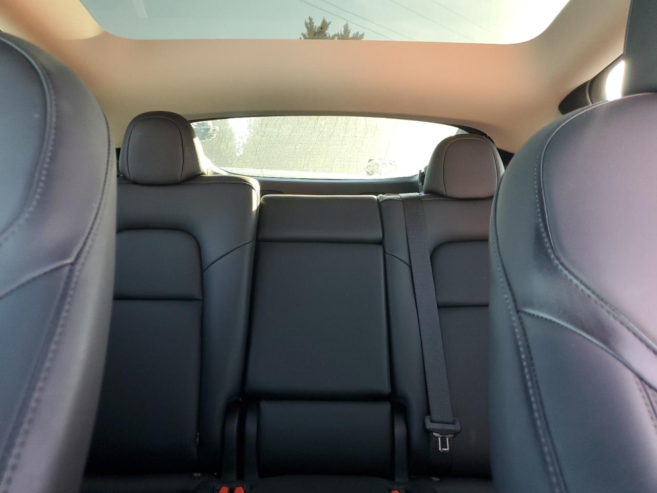 Tesla Model Y Image 6