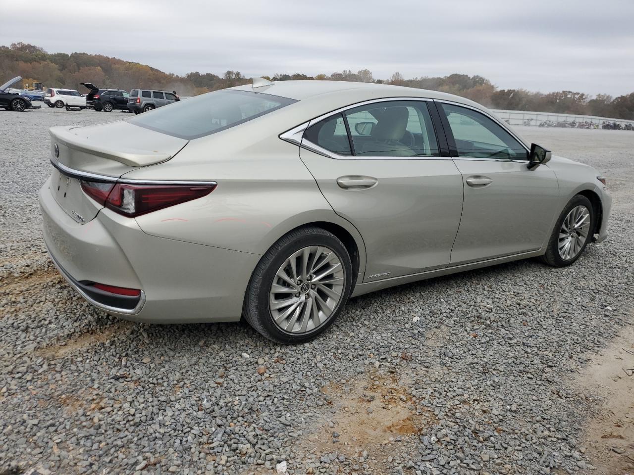 Lexus Es 300h Image 6