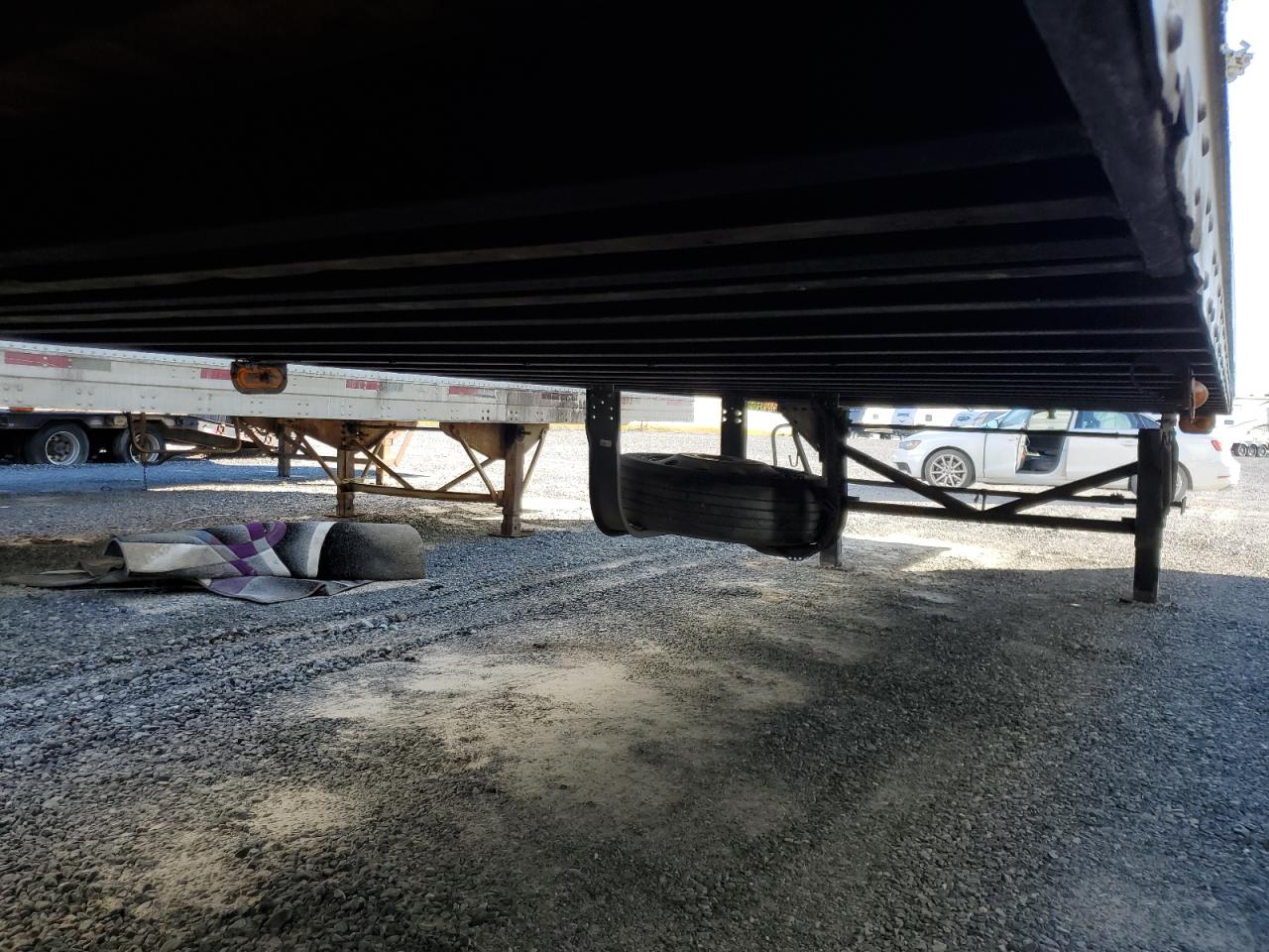 Great Dane Other Image 8