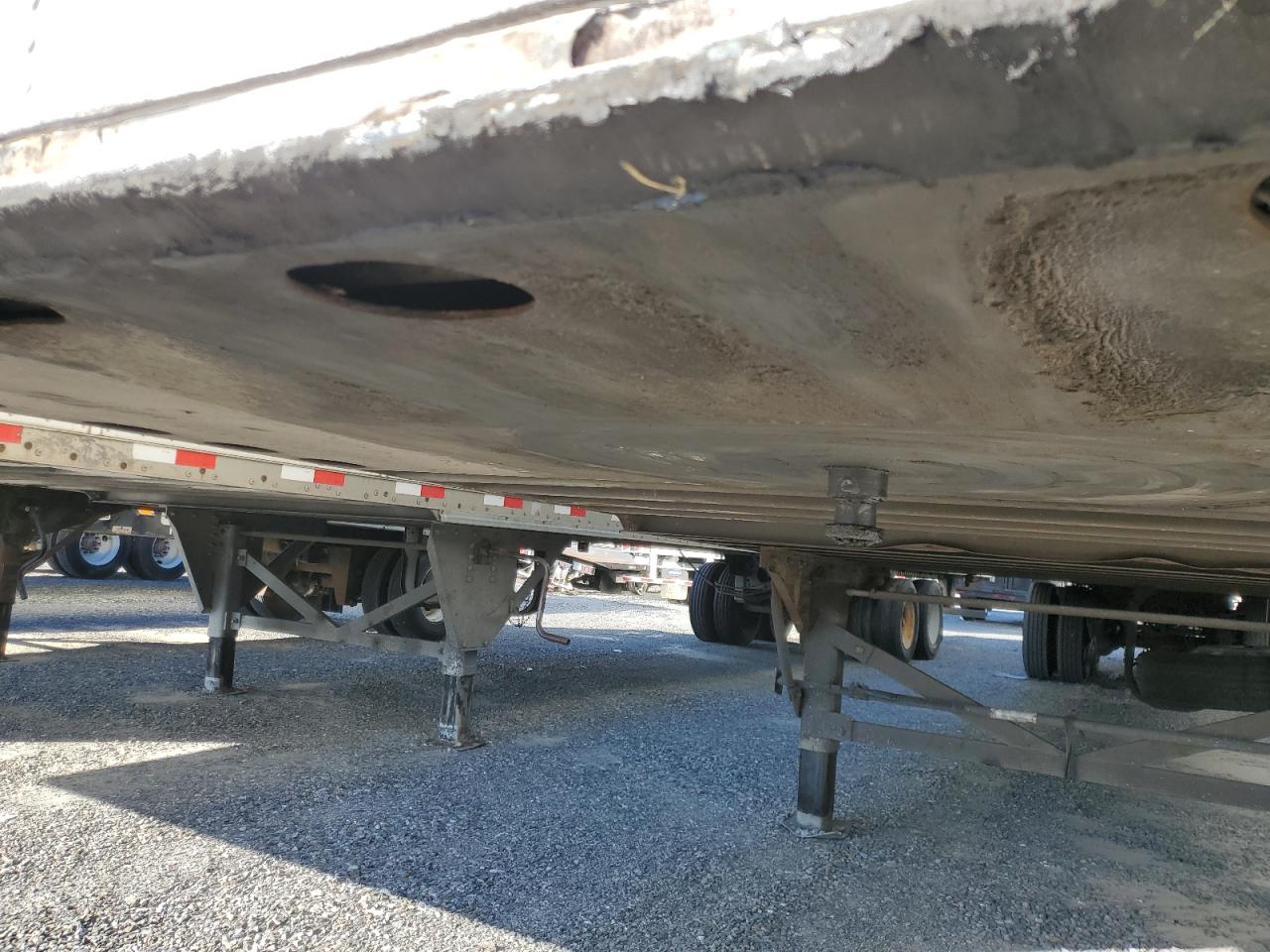 Great Dane Other Image 5