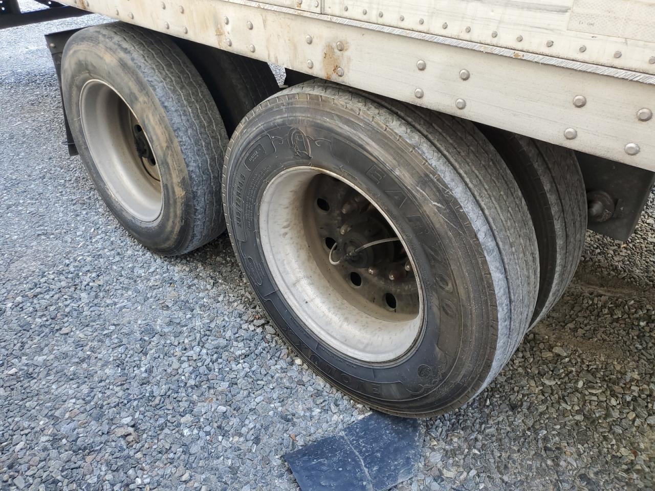 Great Dane Other Image 6