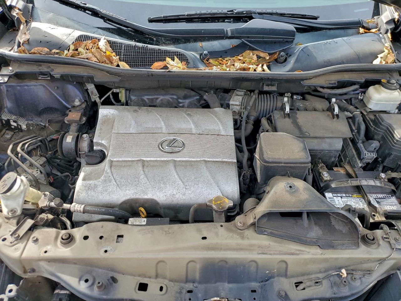 Lexus RX 350 Image 4