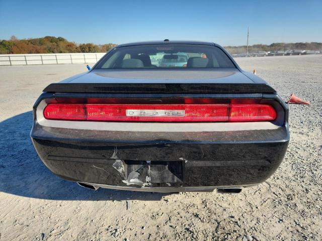 Dodge Challenger Sxt Image 12