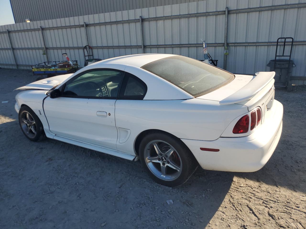 Ford Mustang Cobra Image 12