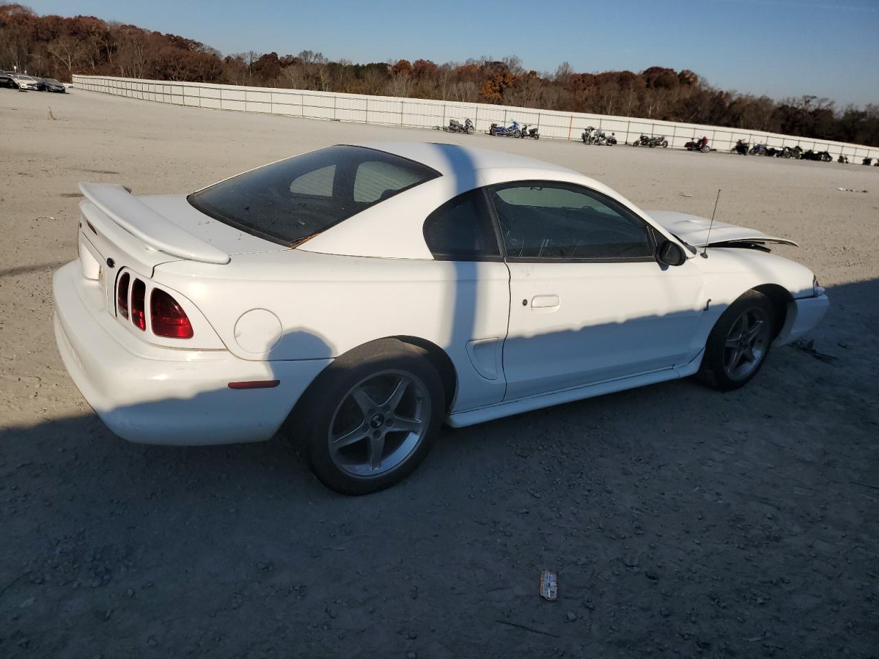 Ford Mustang Cobra Image 3