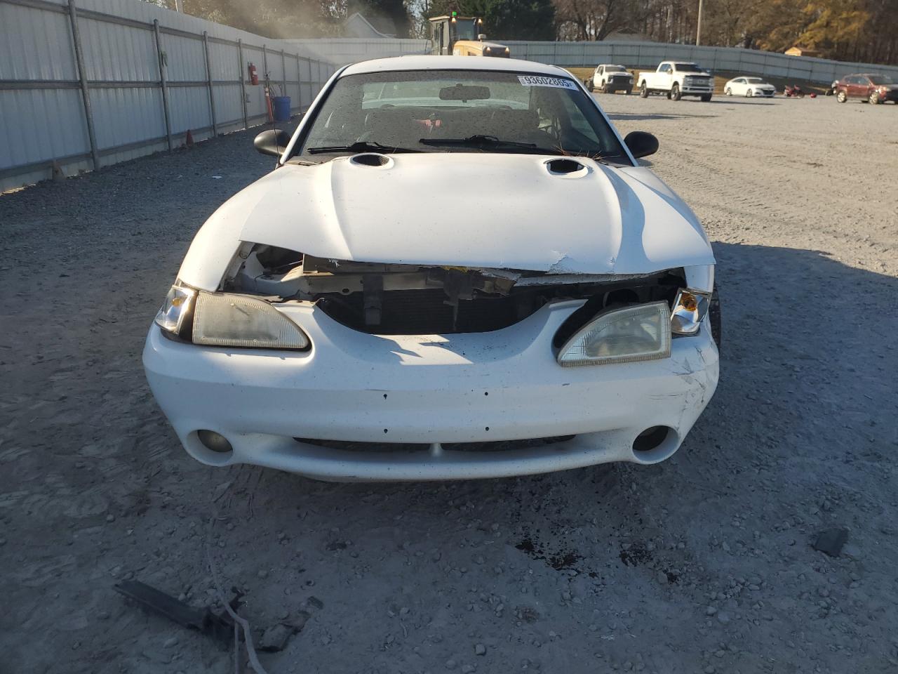 Ford Mustang Cobra Image 4