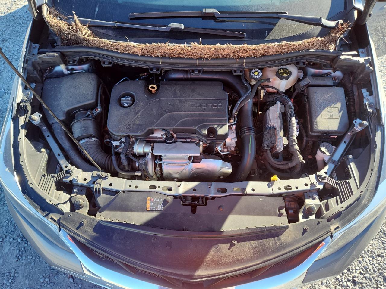 Chevrolet Cruze Premier Image 7