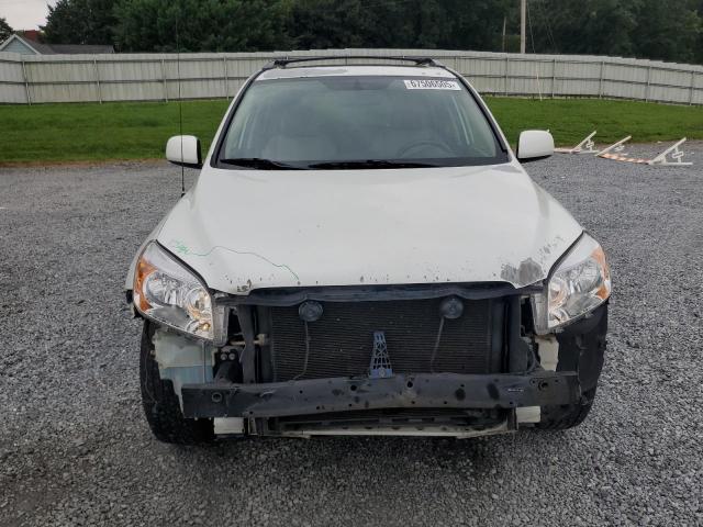 Toyota RAV4 Limited Image 2