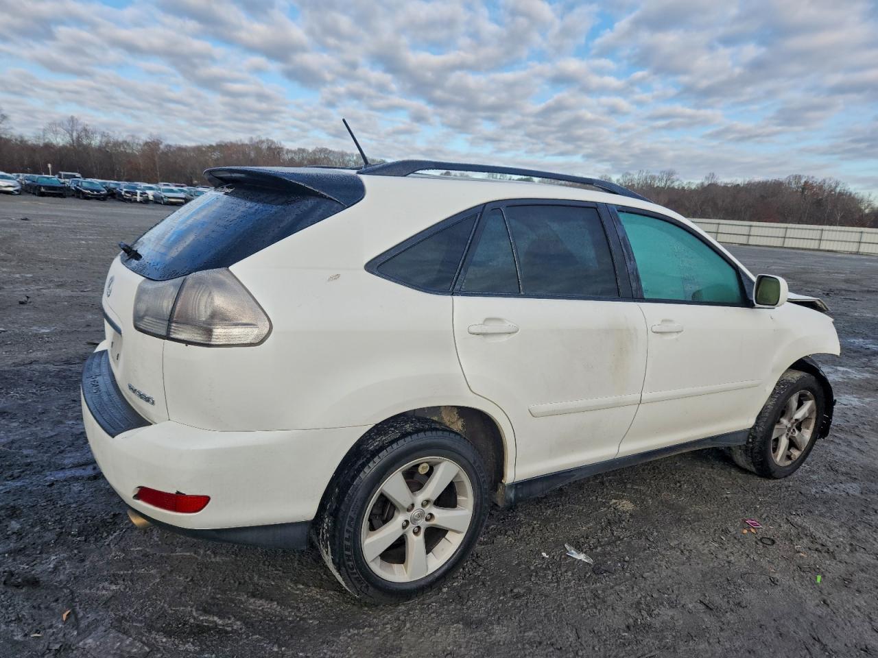 Lexus RX 330 Image 6