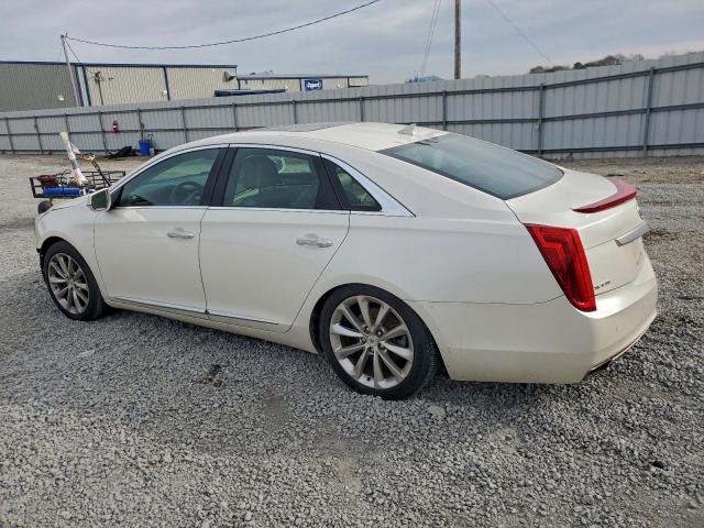 Cadillac XTS Luxury Collection Image 6