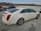 Cadillac XTS Luxury Collection Image 4