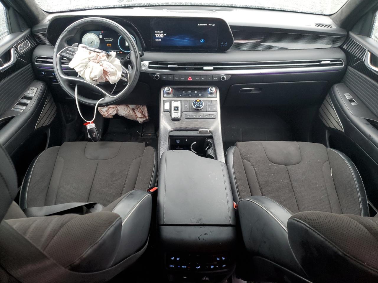 Hyundai PALISADE Calligraphy Image 10