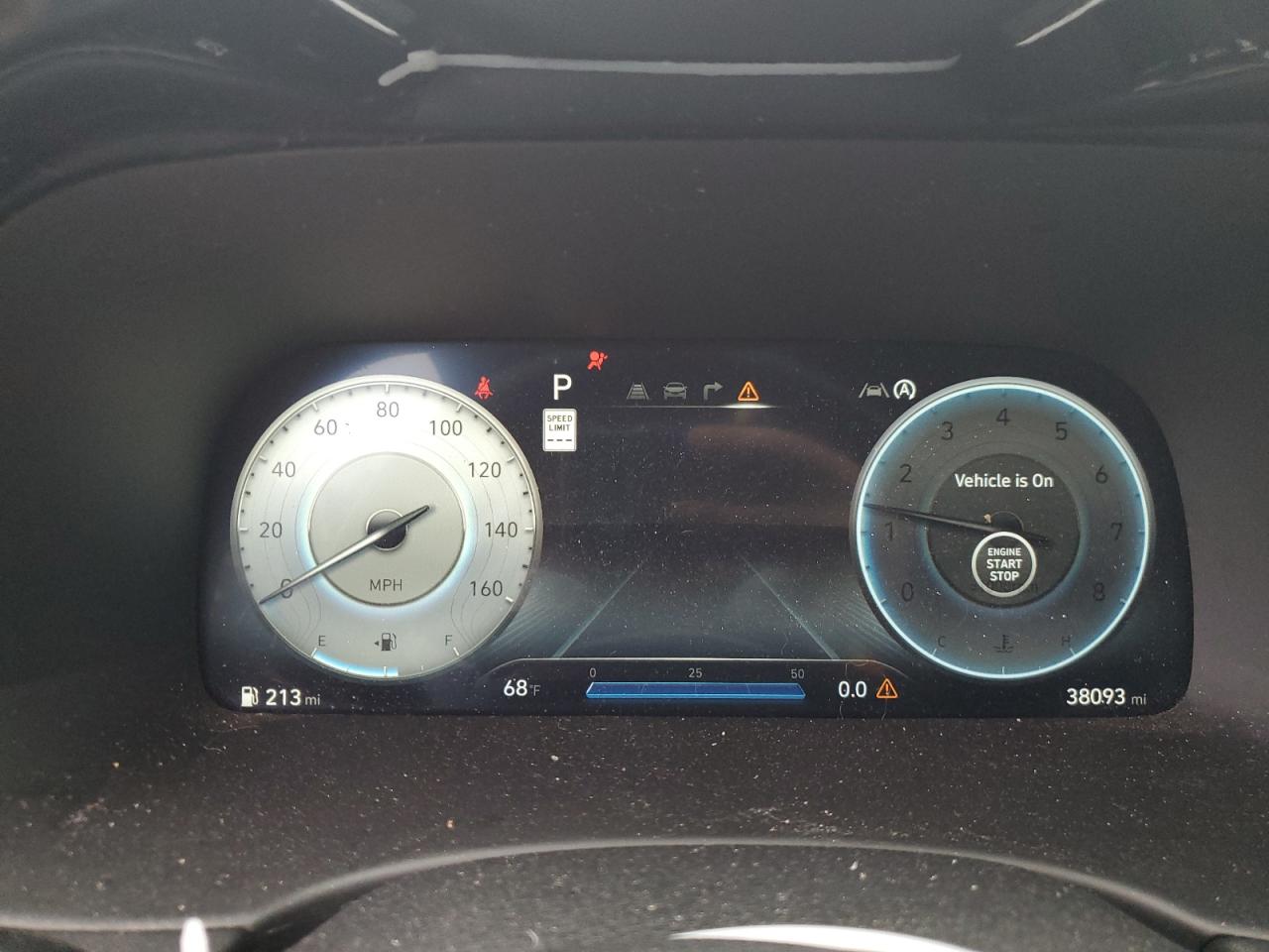 Hyundai PALISADE Calligraphy Image 6