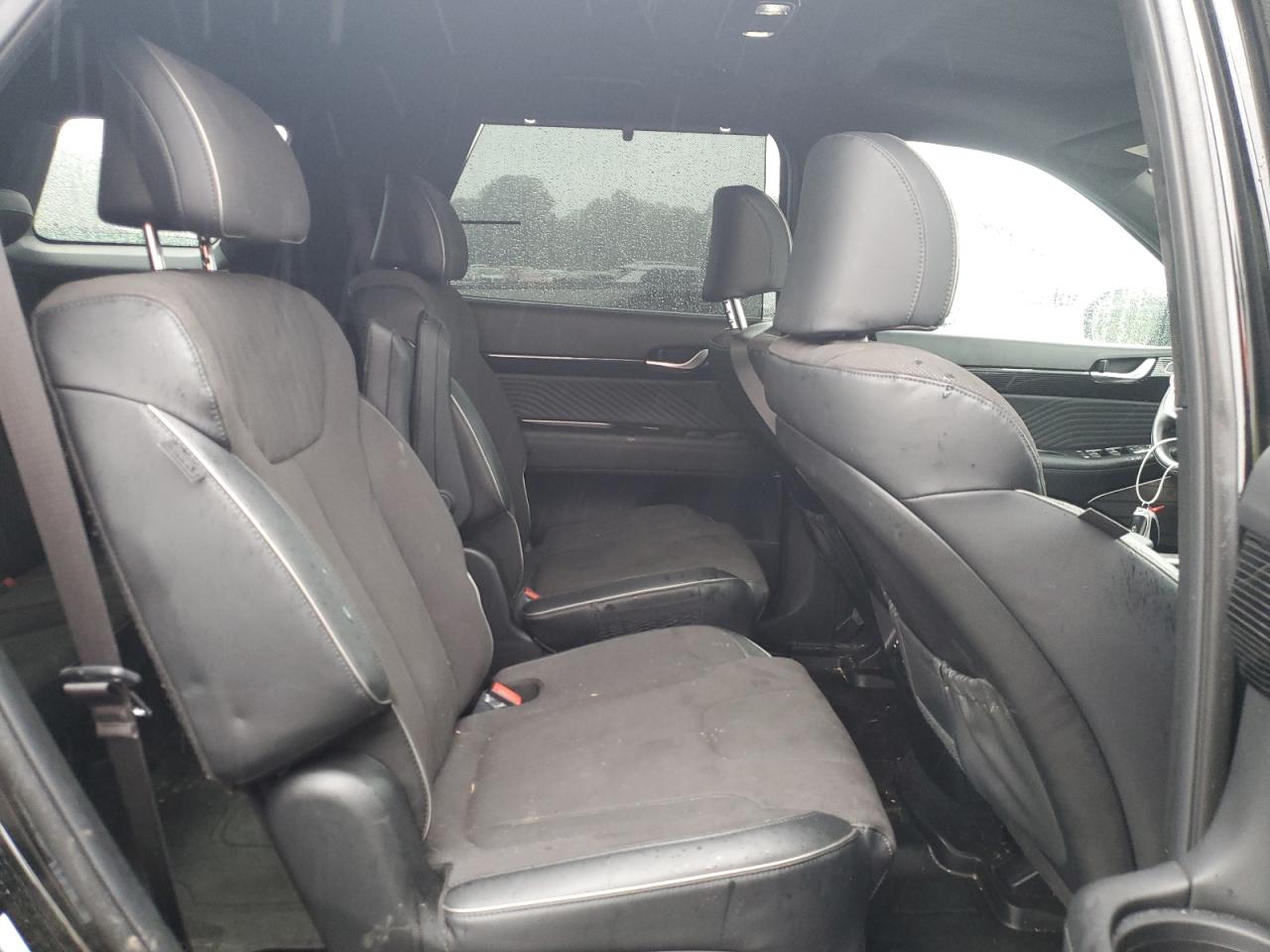 Hyundai PALISADE Calligraphy Image 11