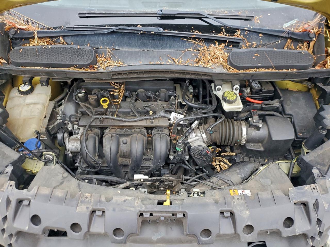 Ford Transit Xlt Image 12