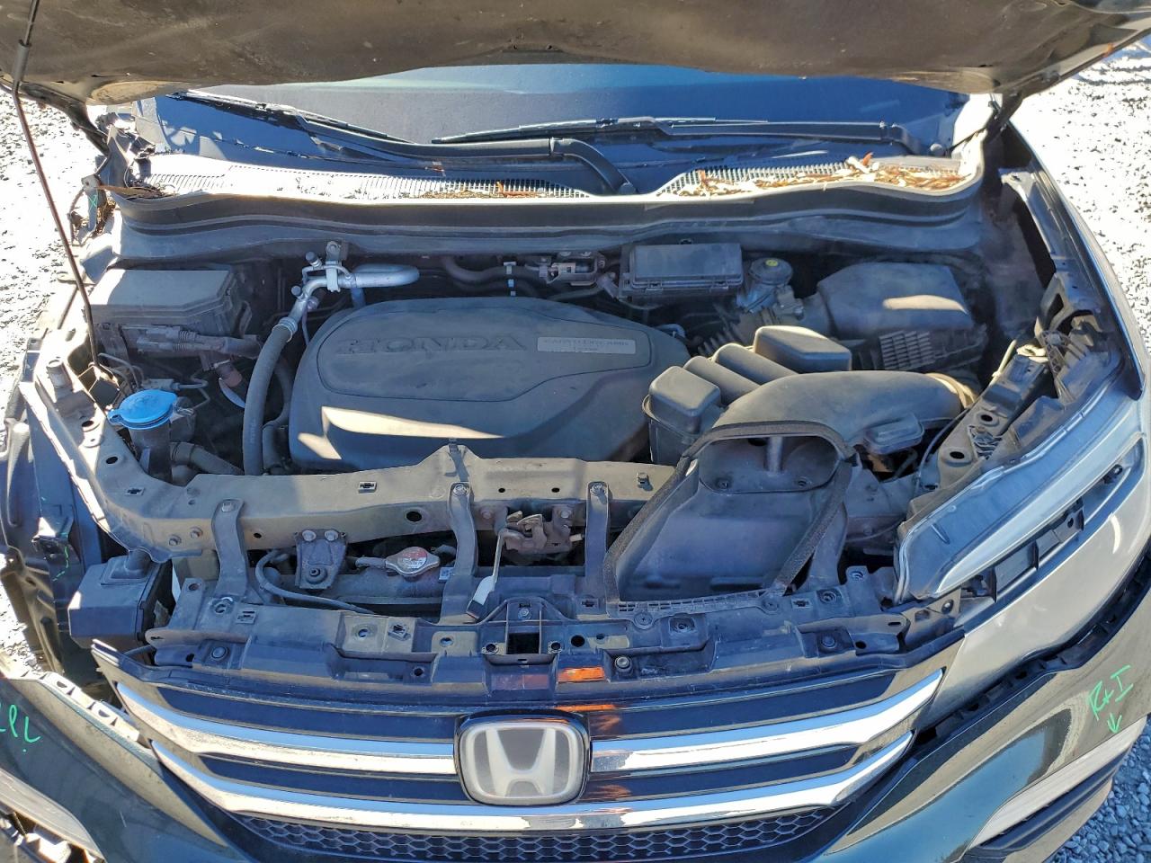 Honda Pilot Elite Image 11