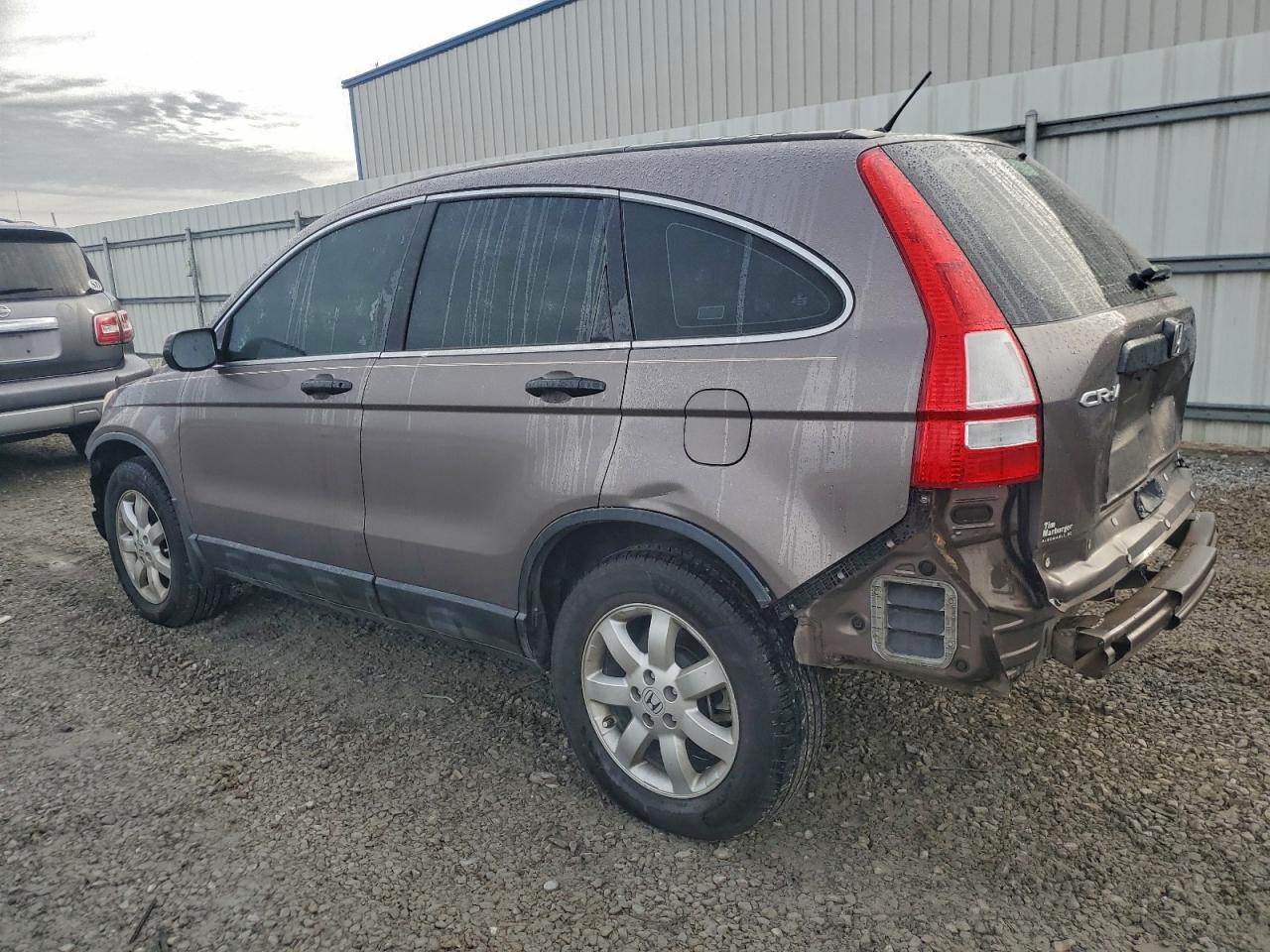 Honda Crv Lx Image 8