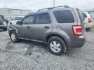 Ford Escape Xlt Image 6