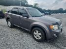 Ford Escape Xlt Image 2