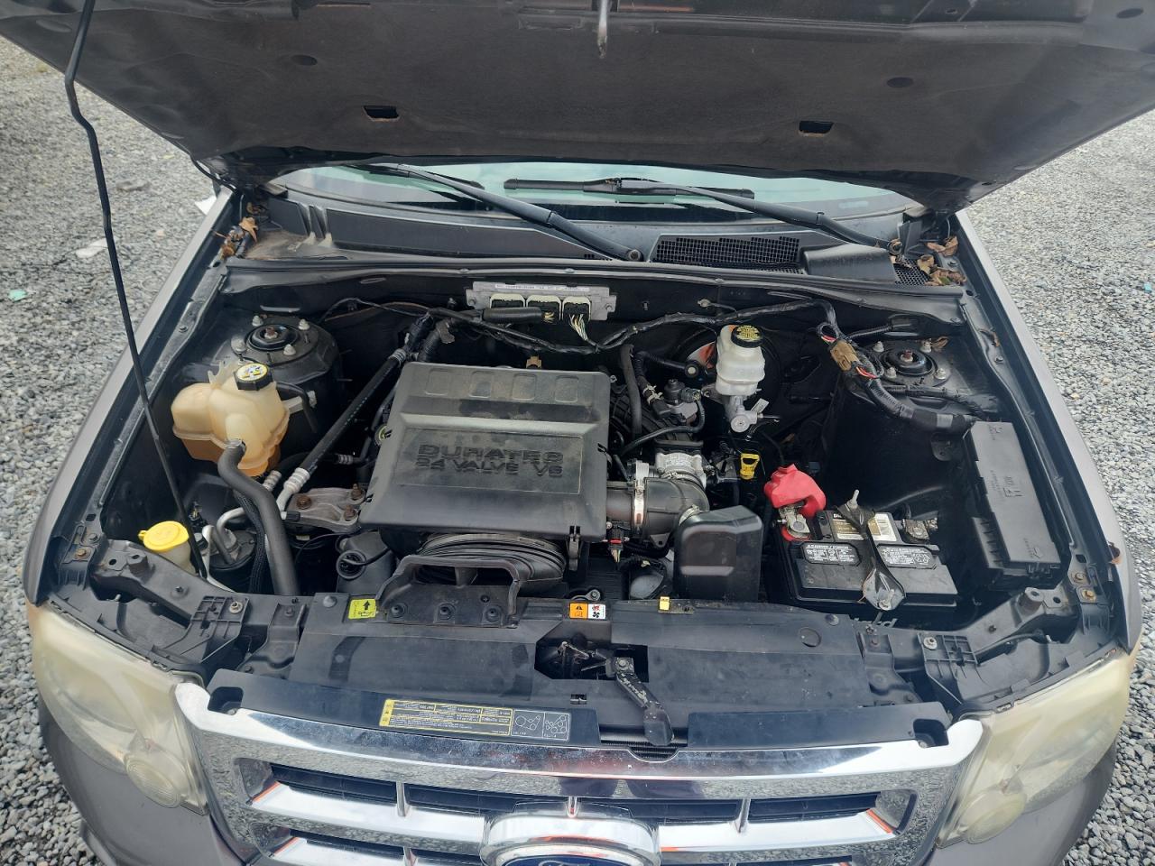 Ford Escape Xlt Image 12