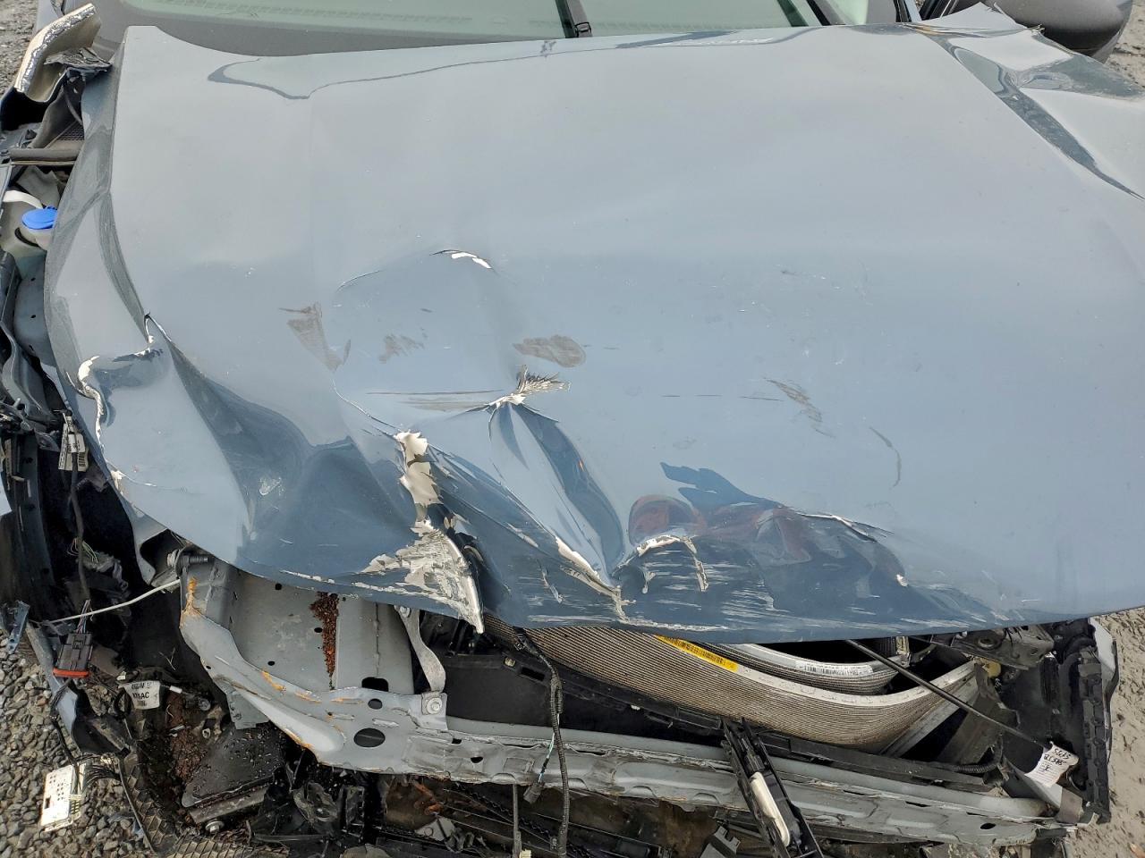 Ford Escape Active Image 8